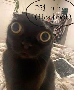 画画 tweet media