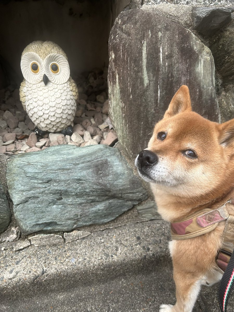 Hiromiページ H I R O M I (@HIROMI66136439) / Posts / X