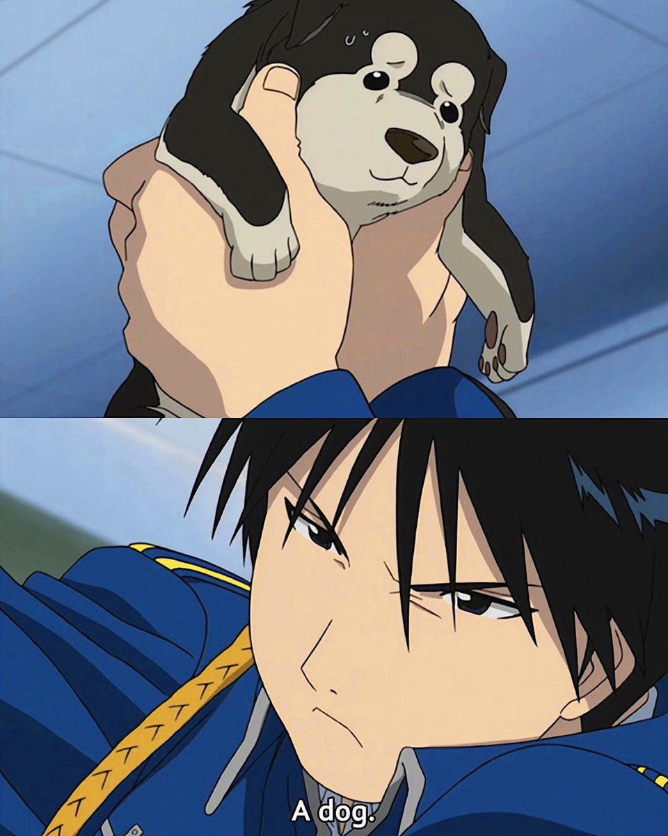 FMAPerfectShots's tweet image. 