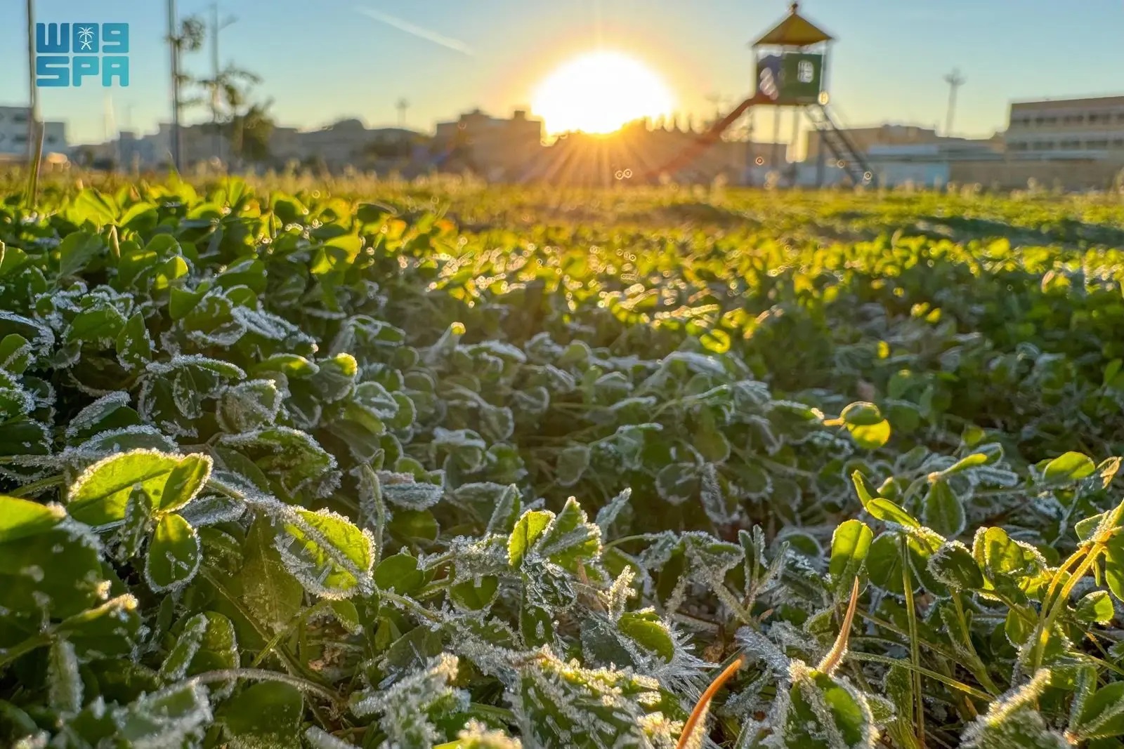 الأرصاد: ثلوج خفيفة وصقيع على مرتفعات تبوك و حائل و #المدينة 