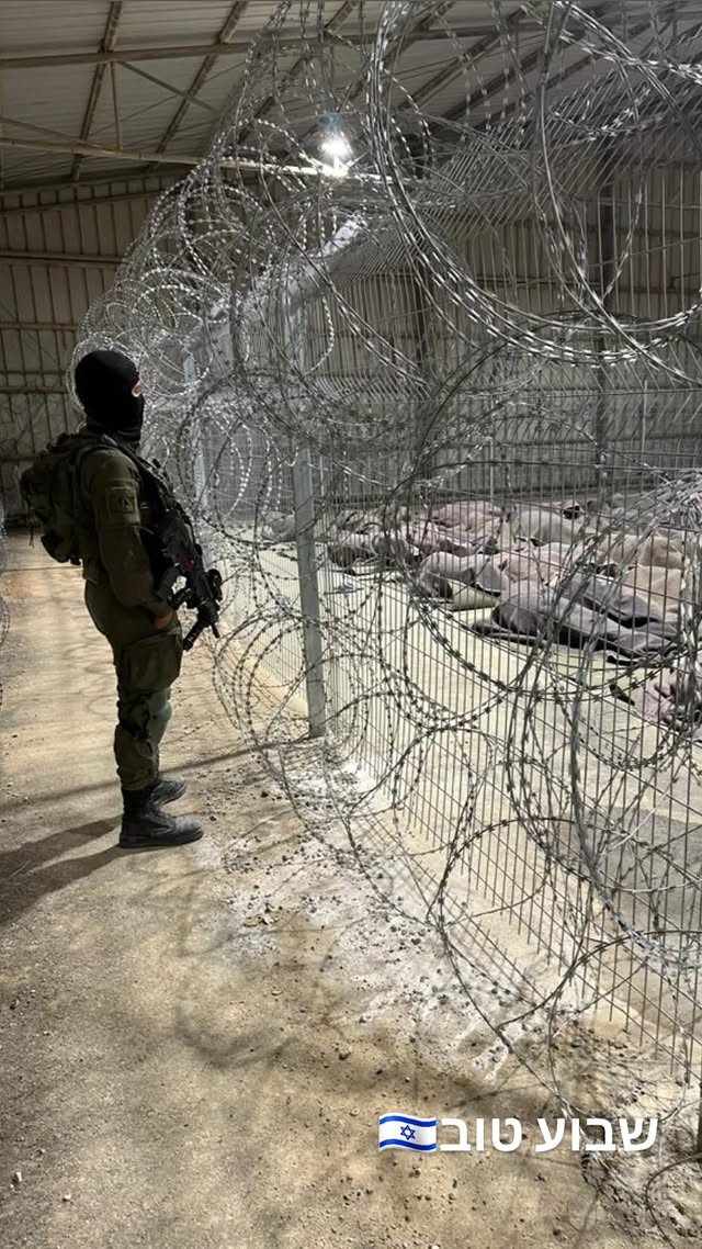 ireallyhateyou's tweet image. There are currently 9,230 Palestinian hostages held in Israel's concentration camps.