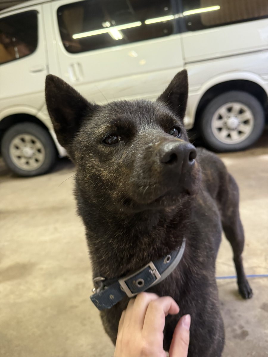 おはようございます☀