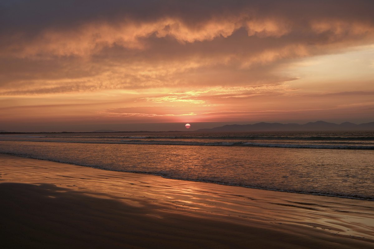 studio ghibli (@gardenofghibli) on Twitter photo 