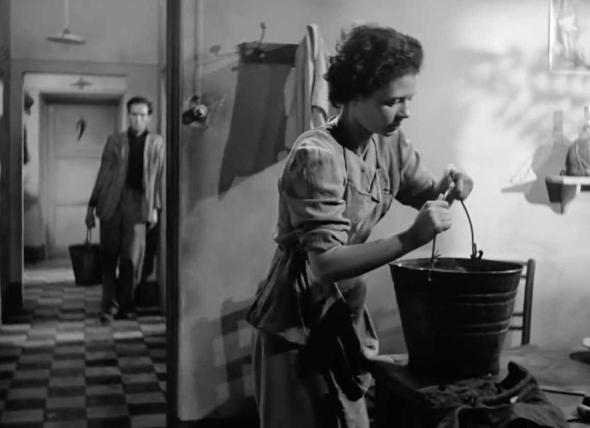 VOLAVIS's tweet image. 