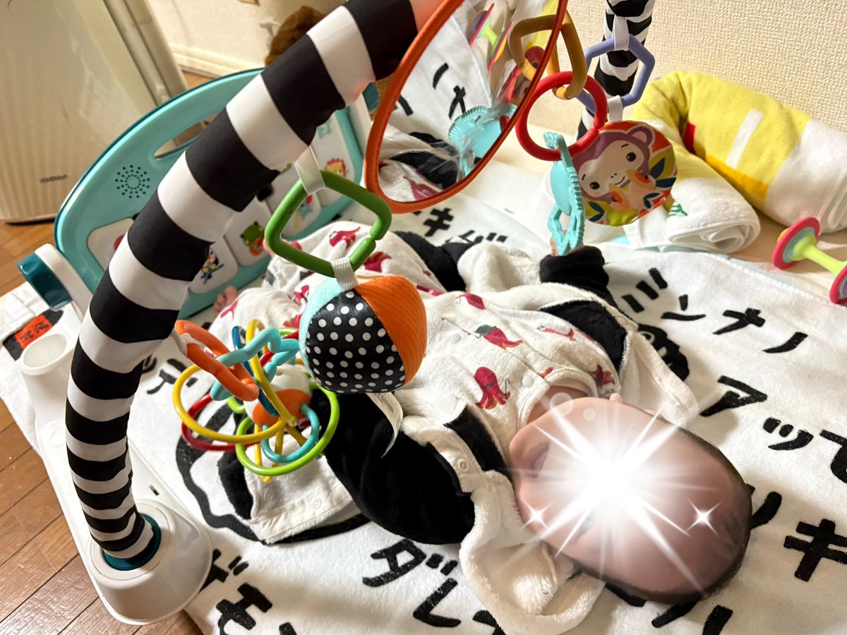 専用❀ご購入前にコメントお願い致します❀　バラ　t 3500 メルカリで買った新しいおもちゃを気に入ってくれたようでご機嫌