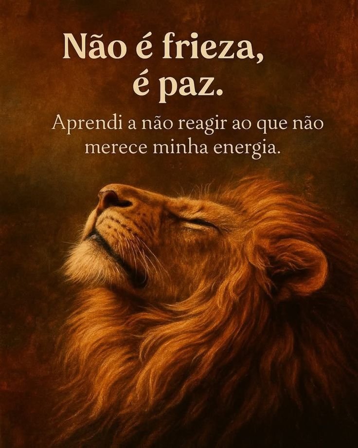 ๑୭̥🌺A Anjinha🌺ִֶ ๑୭̥ tweet media