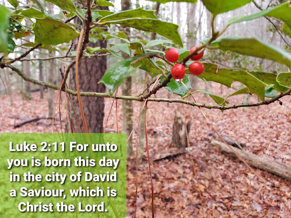 1division's tweet image. 