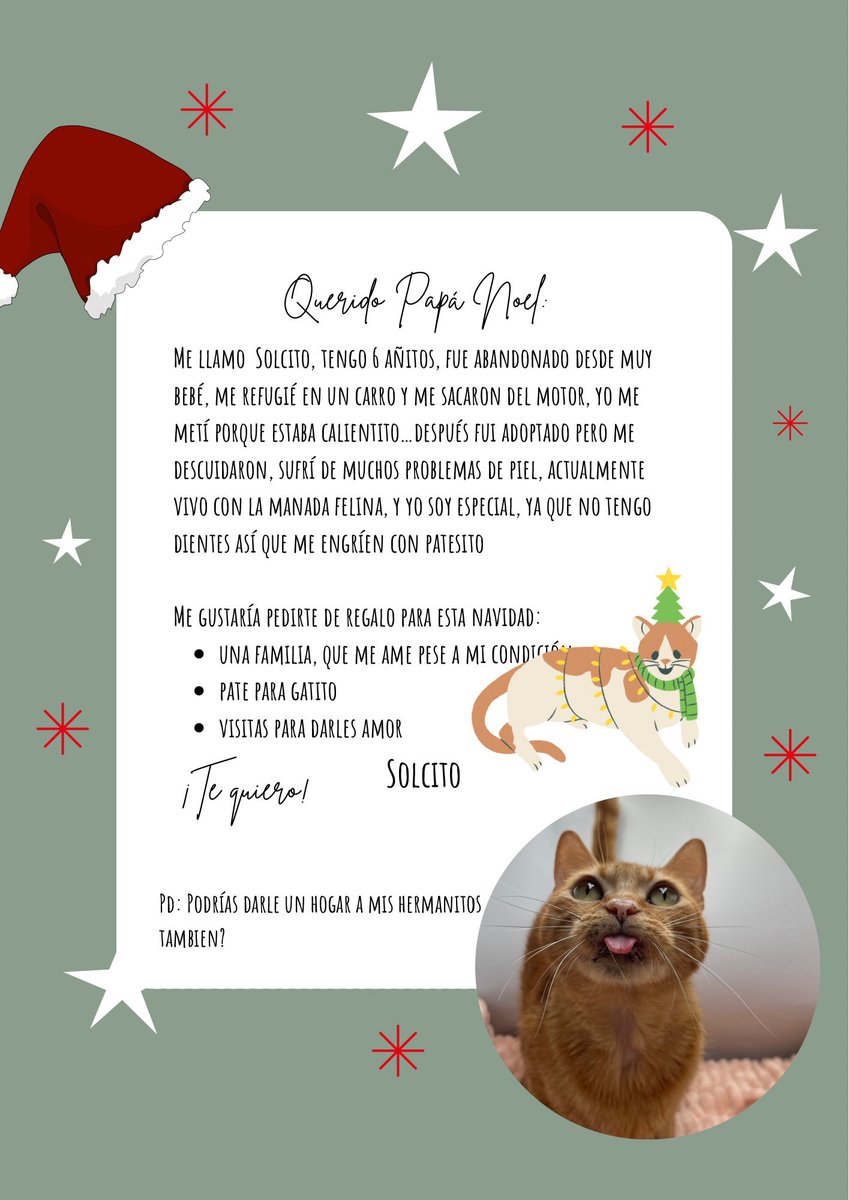 Killki_Wasi's tweet photo. Cartitas navideñas felinas 🐱❤️
 Nuestros pequeños angelitos buscan a un papá Noel o una mamá noela que desee ser su madrina o padrino para estas fiestas ❤️ -Un churito, comidita, una familia- @ticnt_ @danegamez @incondic_peru @vacadescarriada @cachinalcantara https://t.co/8DtAqZPB4Z