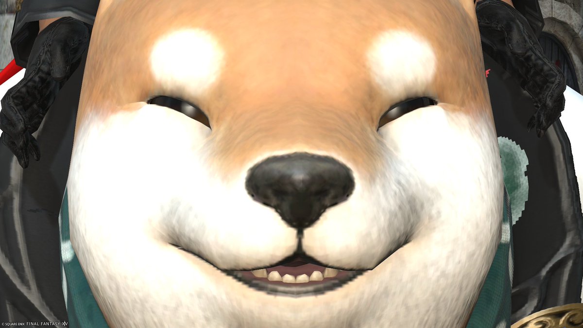 ayafer_ff14's tweet photo. 今回の新式めちゃくちゃ可愛いな！？
オスで着るかメスに幻想するかまよう

※SSとはなんの関係もありません
#FF14 https://t.co/iVvlcaI7SK