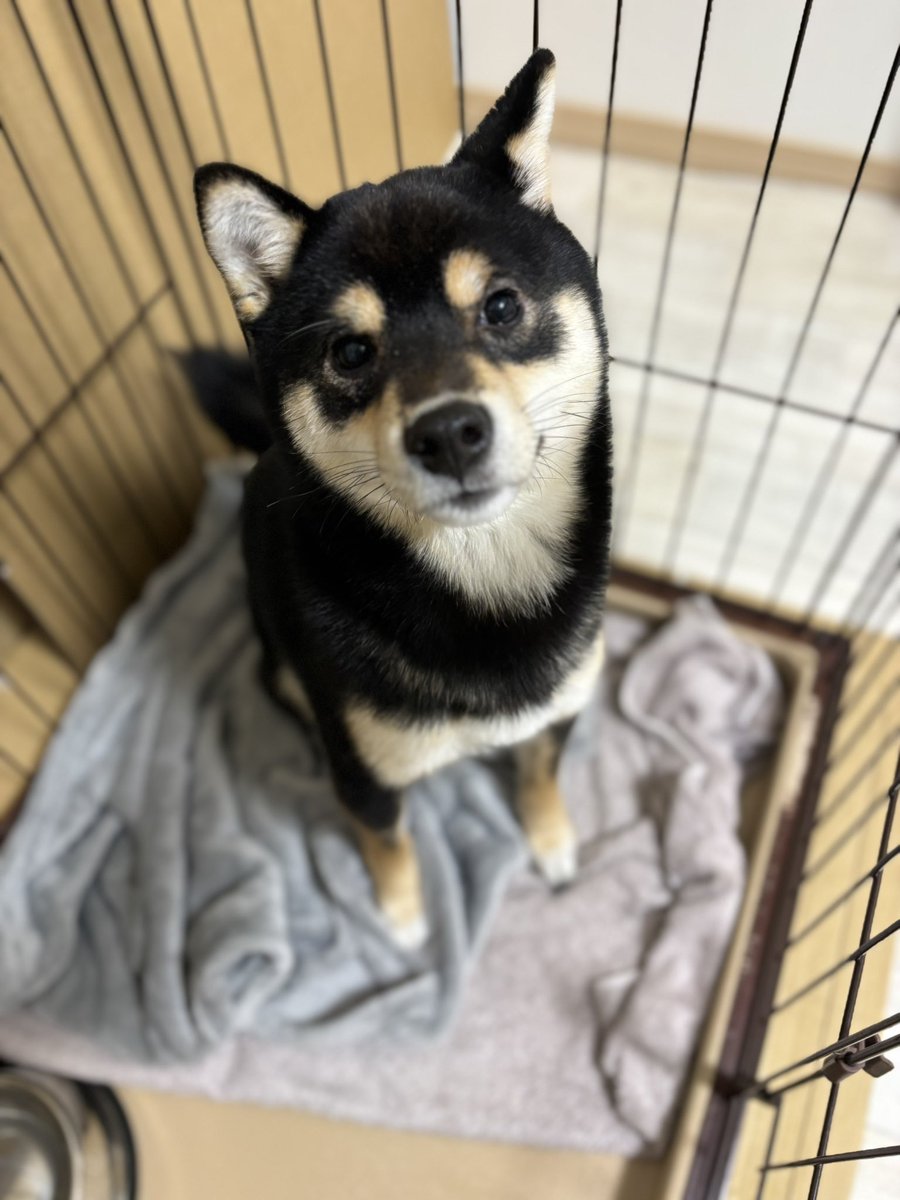 おはようございます。
今日もゆっくりスタートしてます。