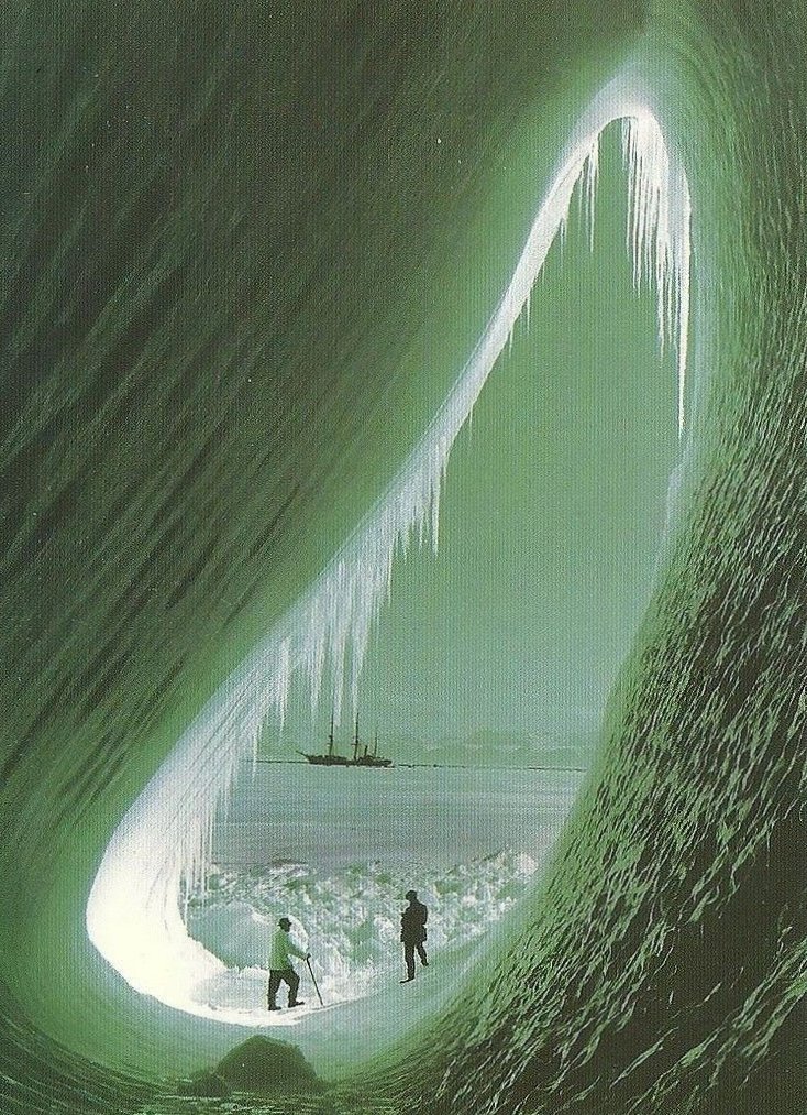 Frogmouth (@yumcarton) on Twitter photo 