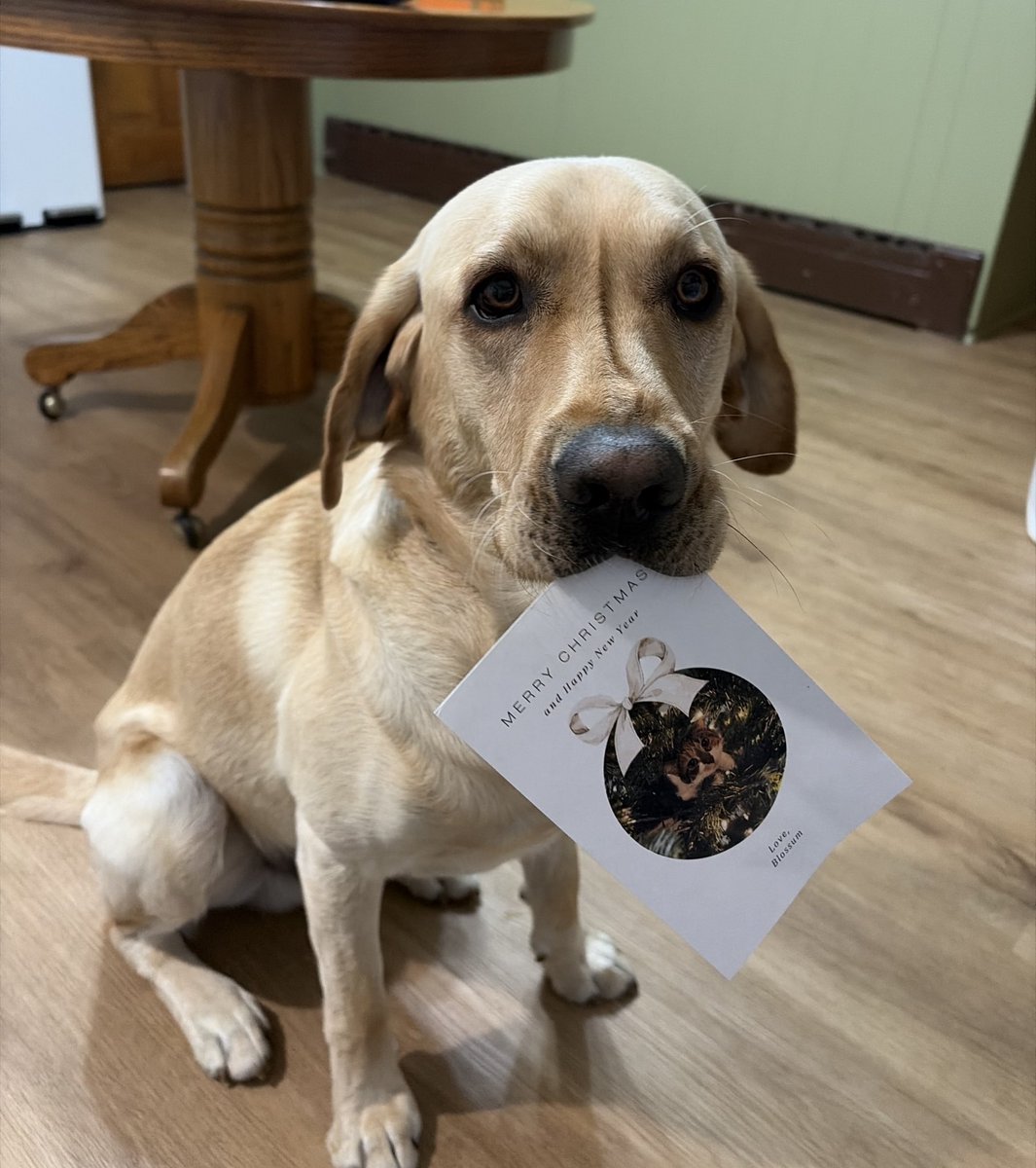 Blossum sent a Christmas card to her friend Hank!