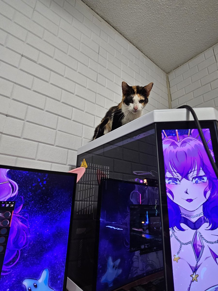 Grand_Codex's tweet image. Princess how did you get up there?!?!?!
AND WHY!!!