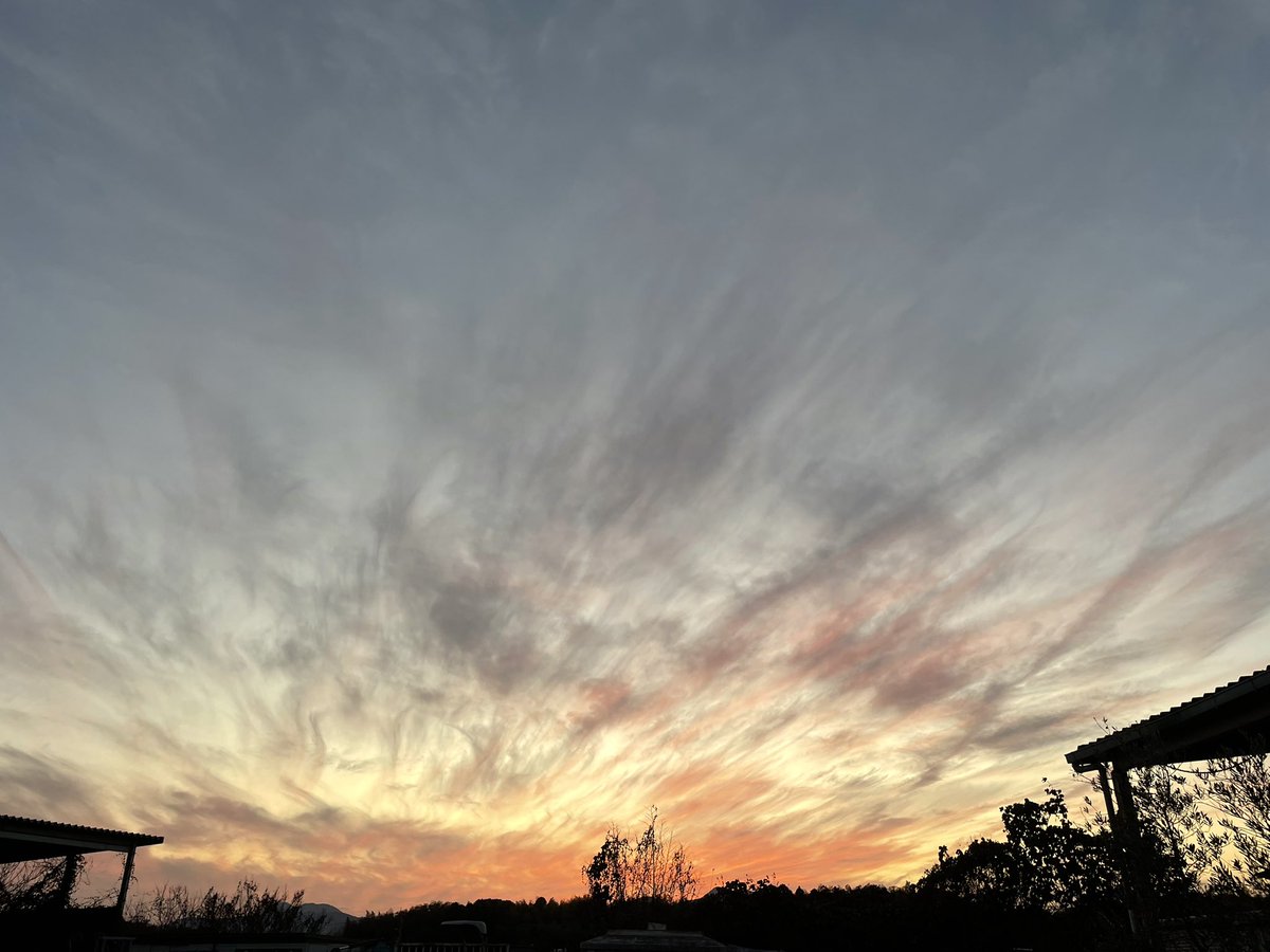 記録

令和７年12月16日
16:08

人生は本当にわからないもの
想像を超える出来事て
本当にあるんだよ
今日知った

#想像を超えた日