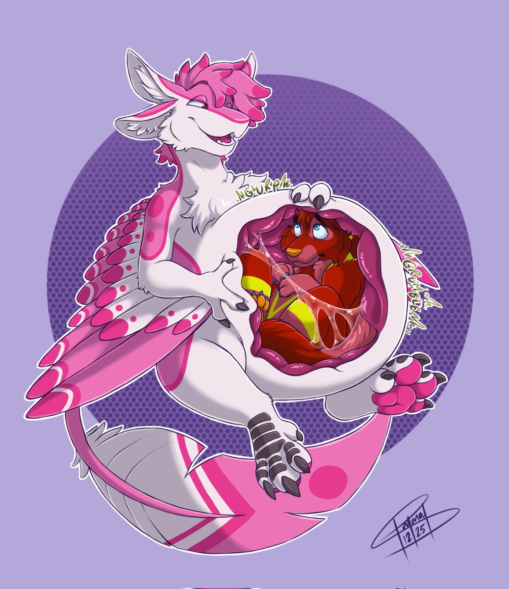 Pont 🔜FWA tweet media