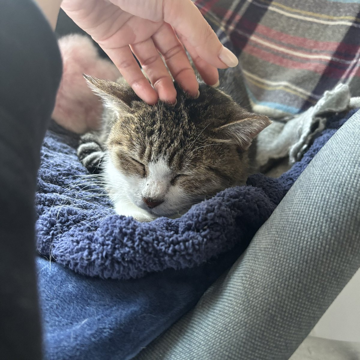 nu (@m329___) on Twitter photo 