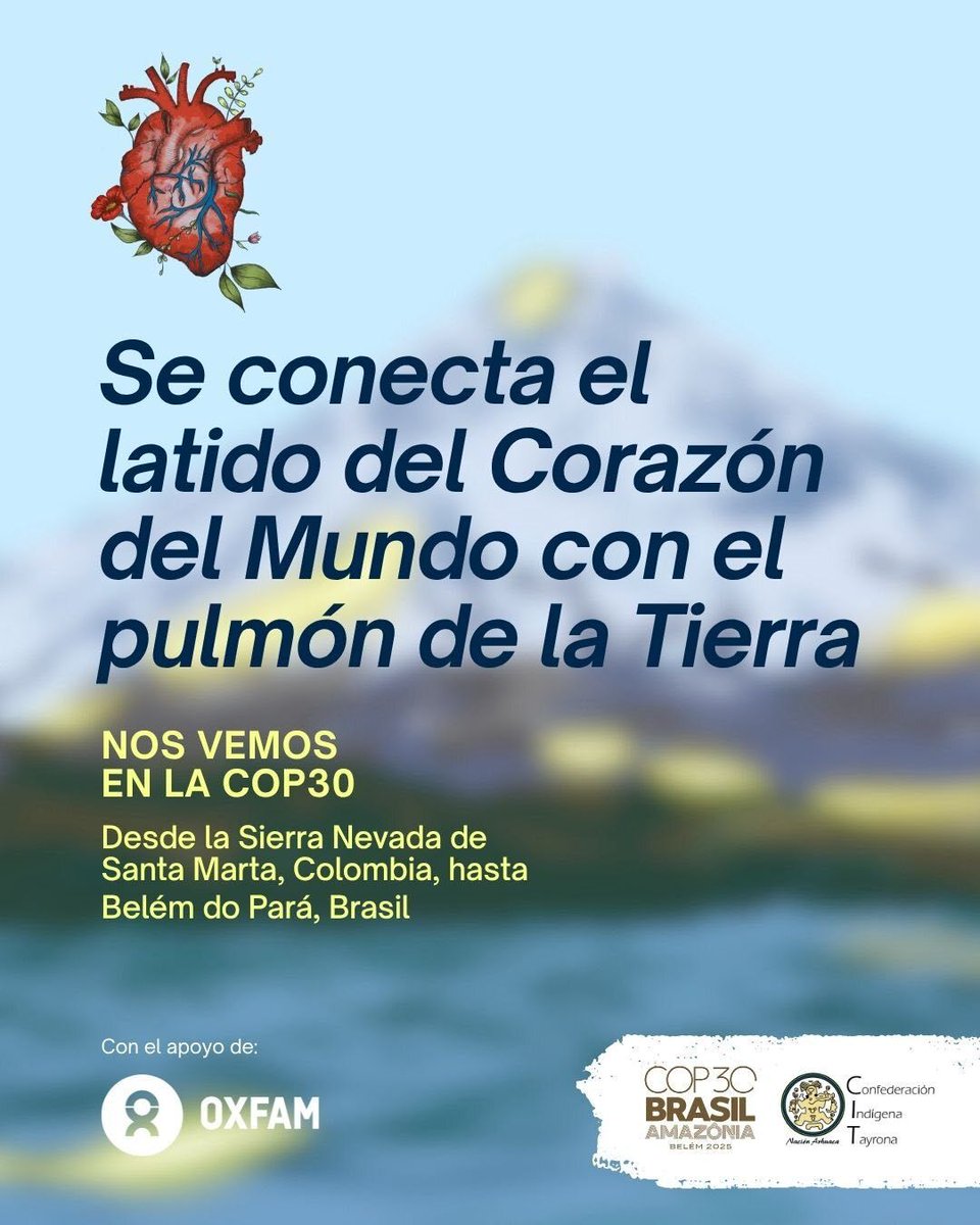 Oxfam en español tweet media