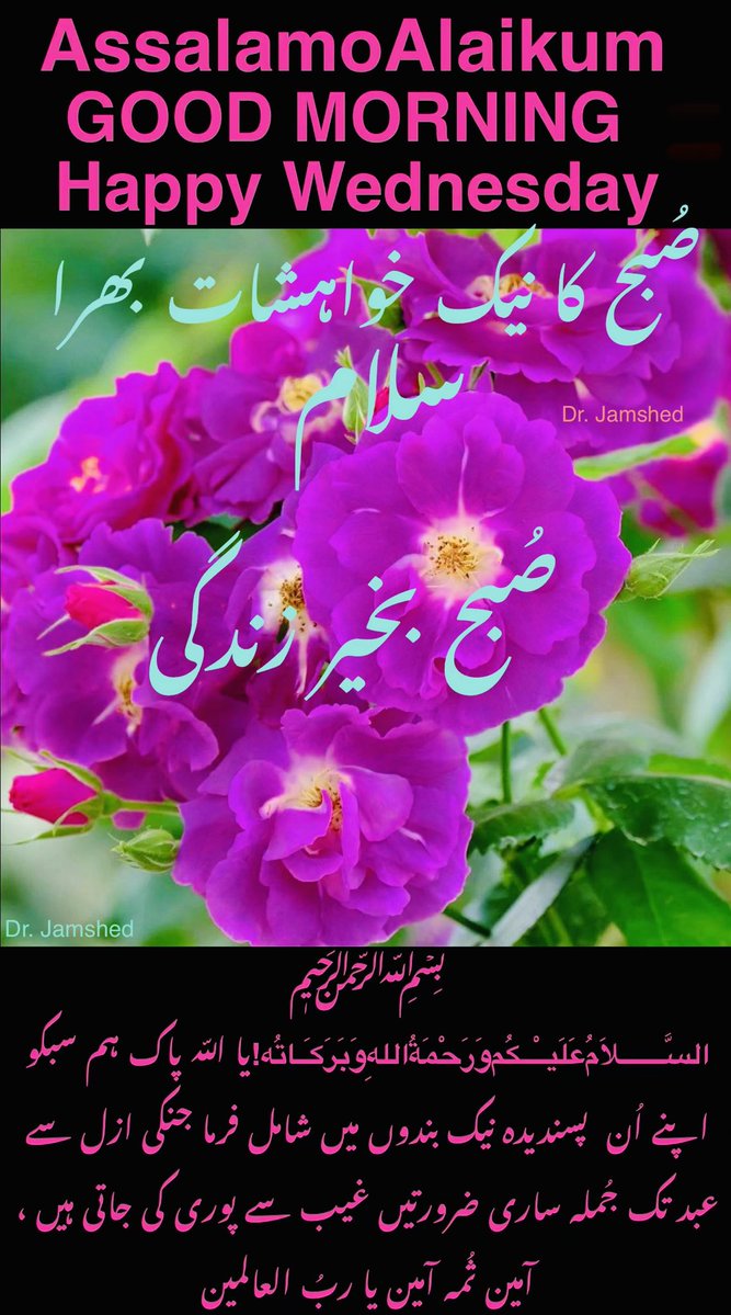 JamshedUSA's tweet image. 🌺🌺  Assalam   O   Alaikum  🌺🌺

    🌺Good Morning“X”Family🌺

         🌺Happy Wednesday🌺

🌺(Like + Rt = Follow Back ) 💯🌺