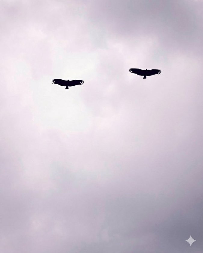 PSG 0x2 Flamengo

Oremos. 🙏🏽🔴⚫️