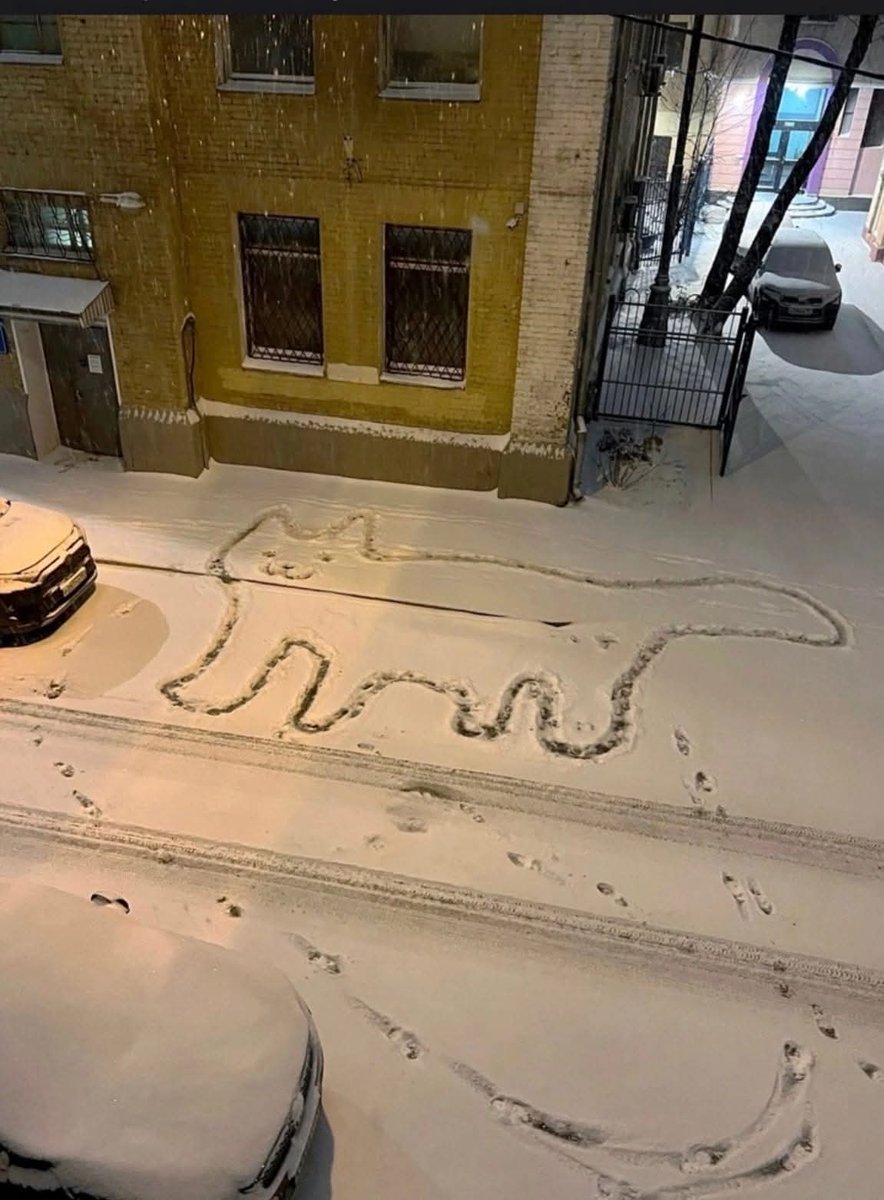 Animalesaprieto's tweet image. Como trates al michi en la nieve  te irá el 2026, no lo ignores.🙏✨️