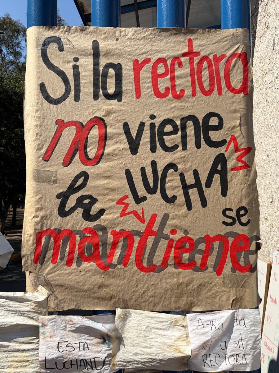 Comisión de Comunicación Asamblea de Académicos tweet media