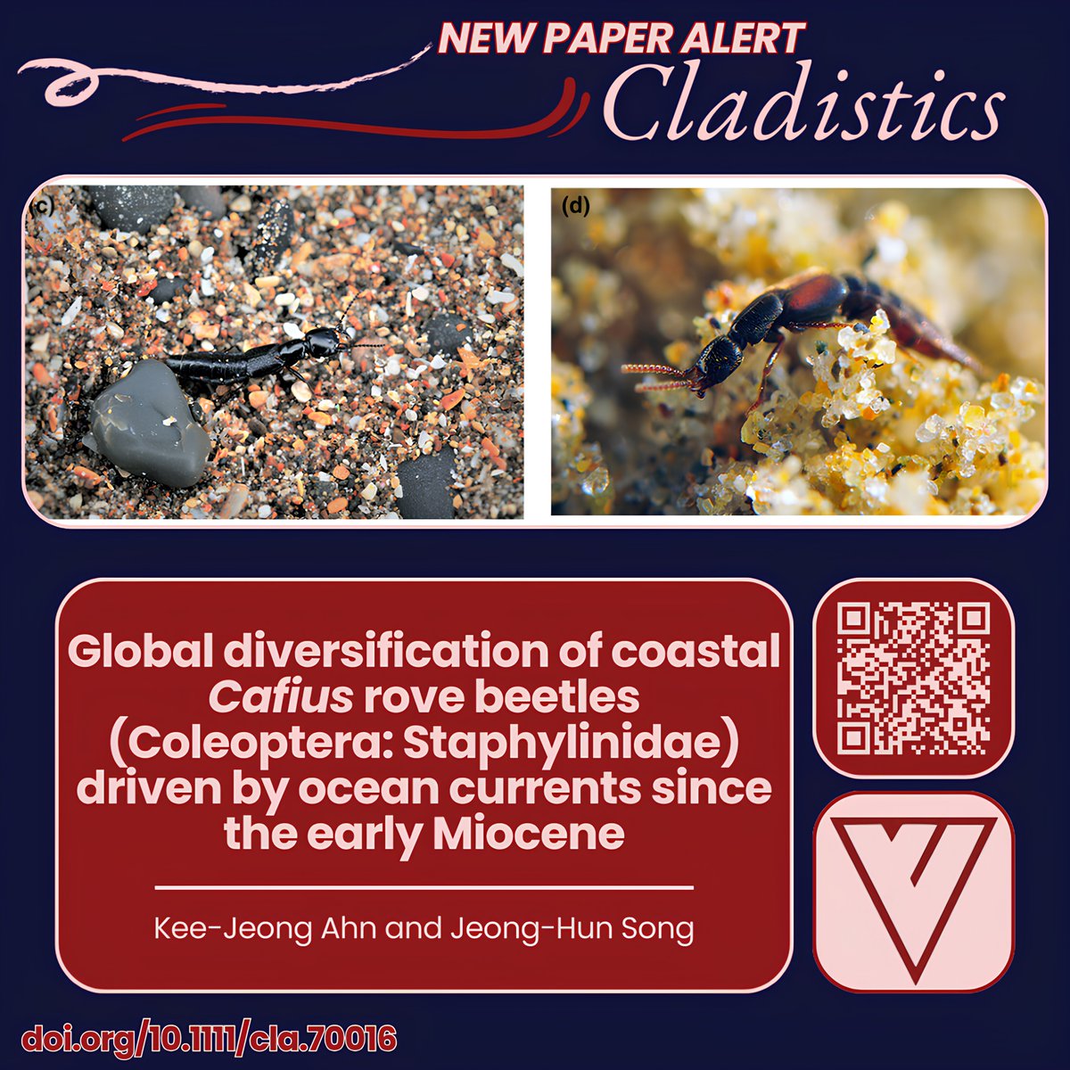 Cladistics Journal Alert tweet media