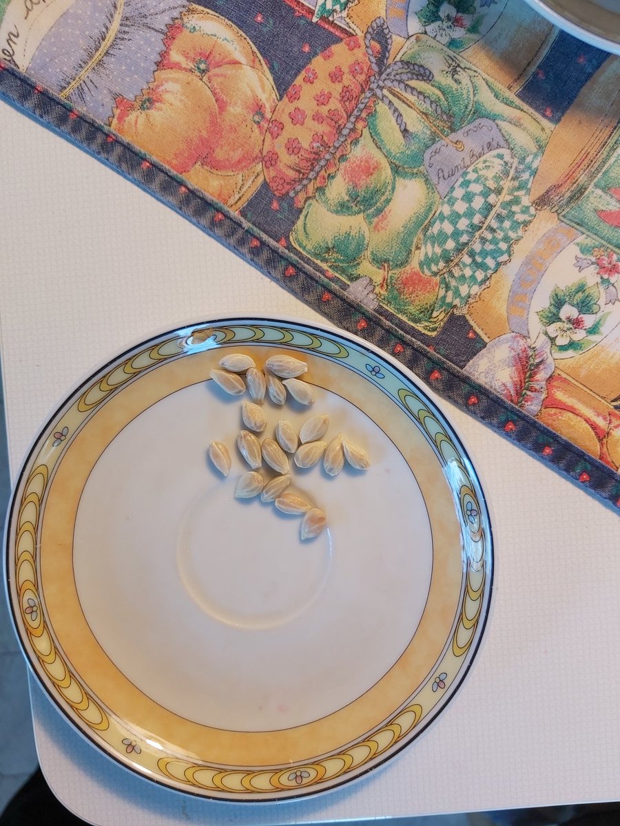 Clementine. 
"kernlos"
Eine! 

Die Ausbeute ...

!B