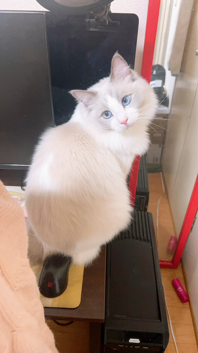 ちゅる (@kchuru029) / Posts / X