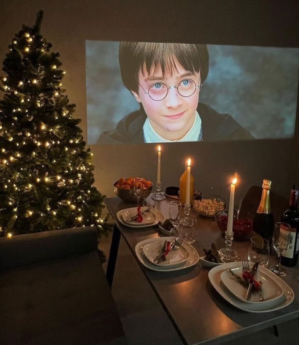 TheDailyHPotter's tweet image. The perfect Christmas 🎄✨