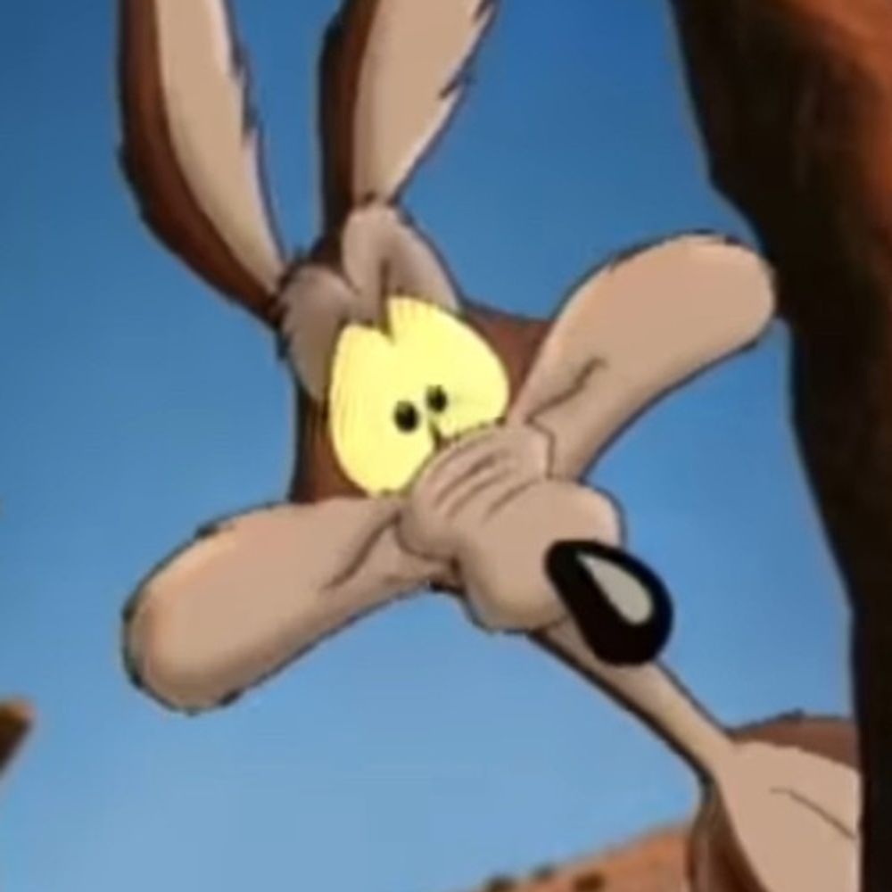 Daily Dose of Wile E. Coyote (@wilelover) on Twitter photo 