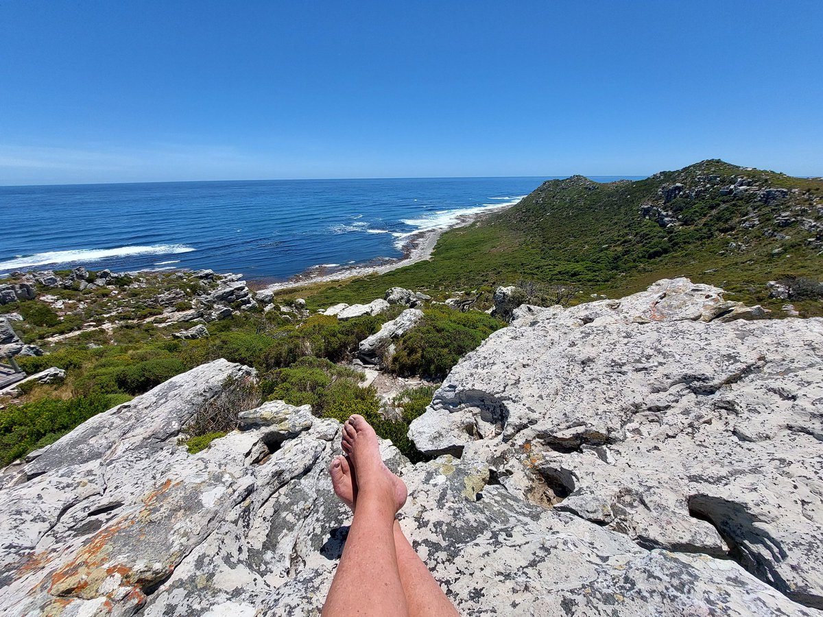 The Barefoot Guide tweet media