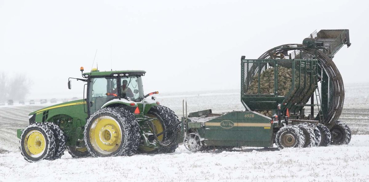 AbSugarBeetGrowers tweet media