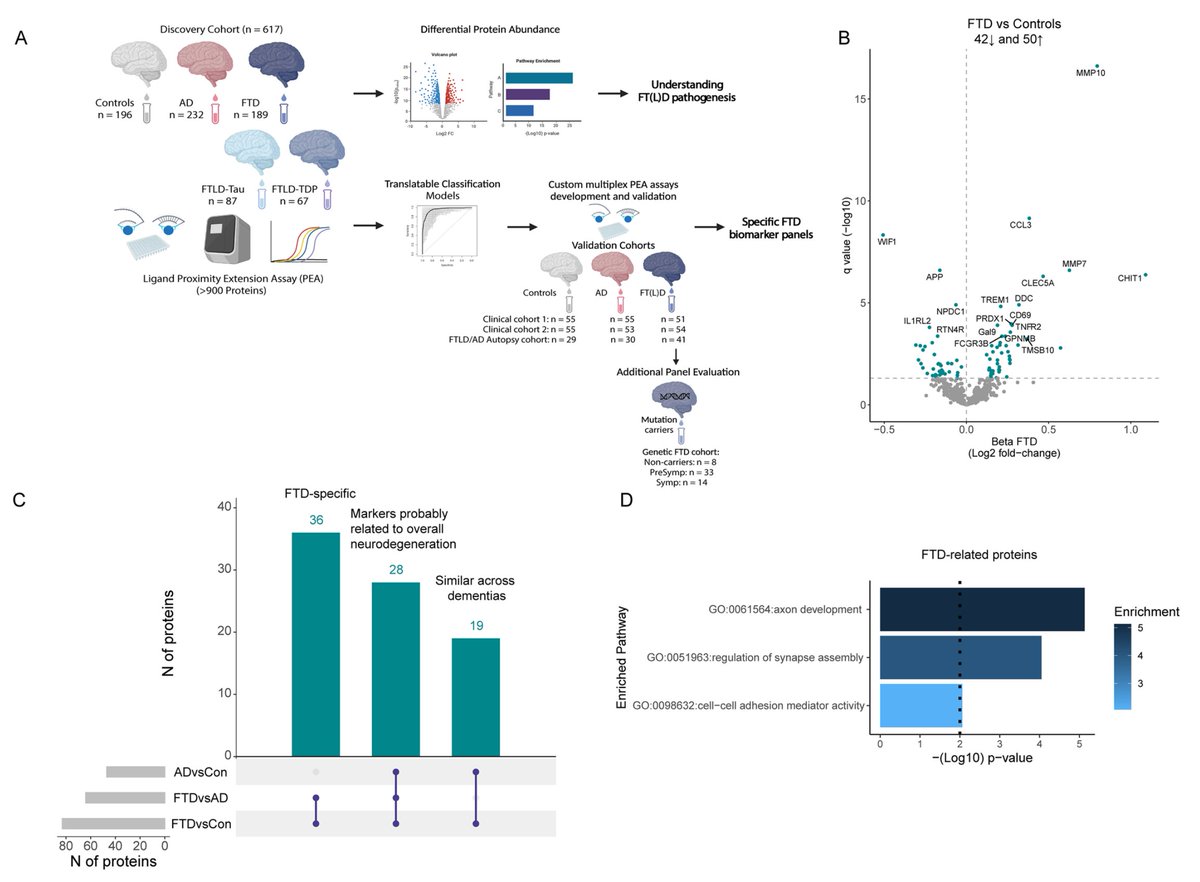 Infinity Bio Inc. tweet media