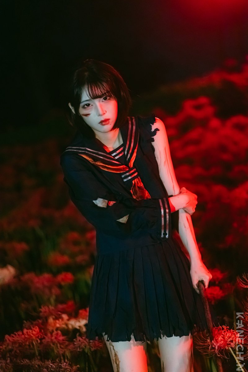 keane1988's tweet photo. 彼岸花2025 https://t.co/fdK5vUdN2E