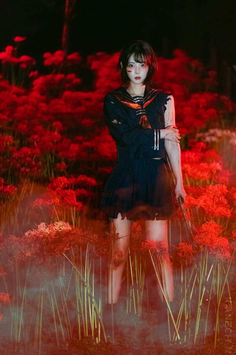 keane1988's tweet photo. 彼岸花2025 https://t.co/fdK5vUdN2E