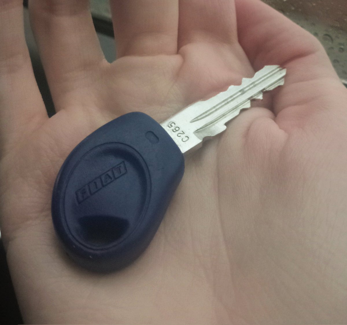 features of the smelly seicento
- a banging radio for me tunes (it doesnt work)
- a bugatti spec 1.1l 50 hp engine (the smellyness gives it extra power)
- key (key)