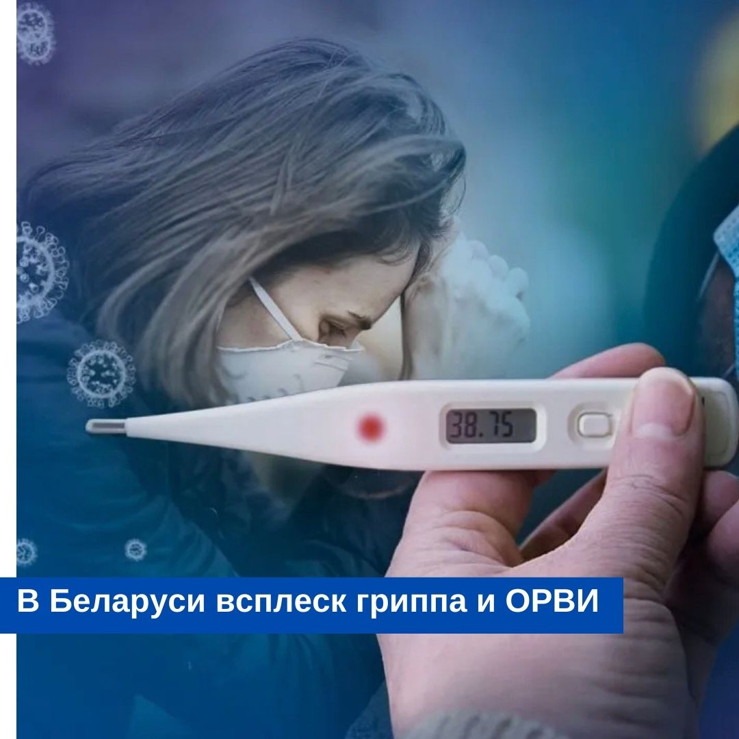 В Беларуси циркулирует гонконгский грипп

Вирус зафиксирован уже 30 странах:

qnt91x-c97-org.cdn.ampproject.org/c/s/qnt91x.c97…