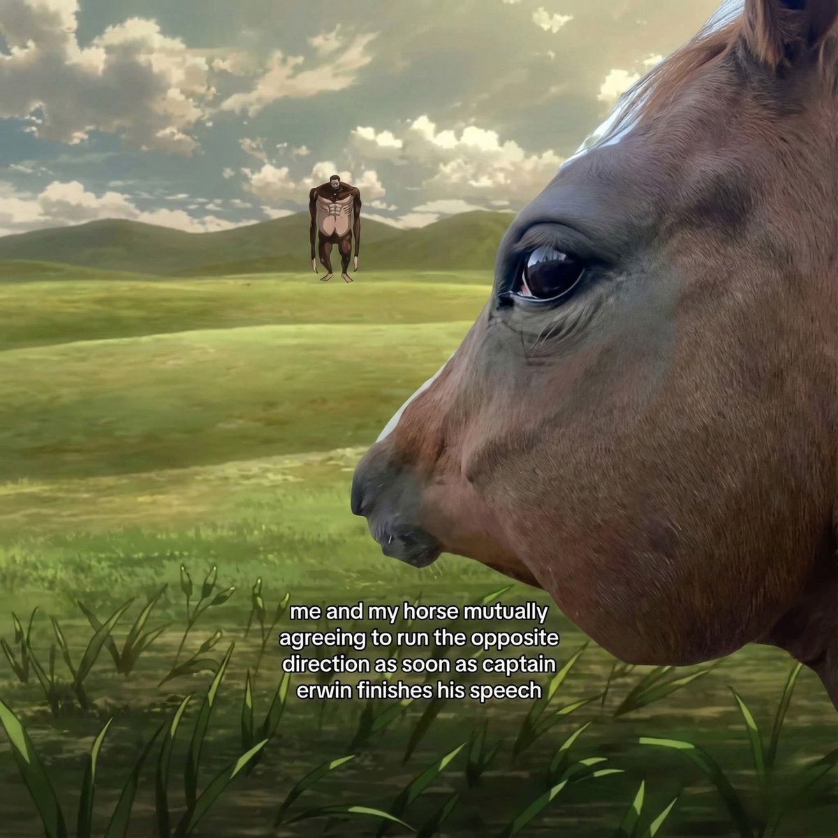 ᡣ𐭩arissa 👑 tweet media