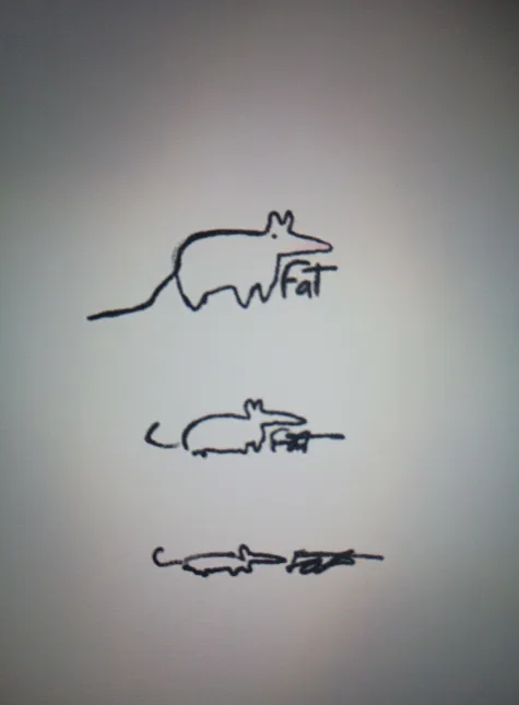 RatTheGay's tweet photo. Chat did i cook #sketch #doodle #art #rat #funny https://t.co/7m1YJIkvP4
