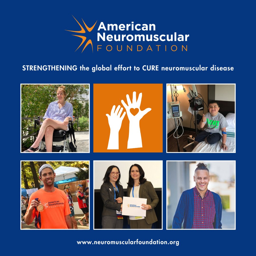 American Neuromuscular Foundation tweet media