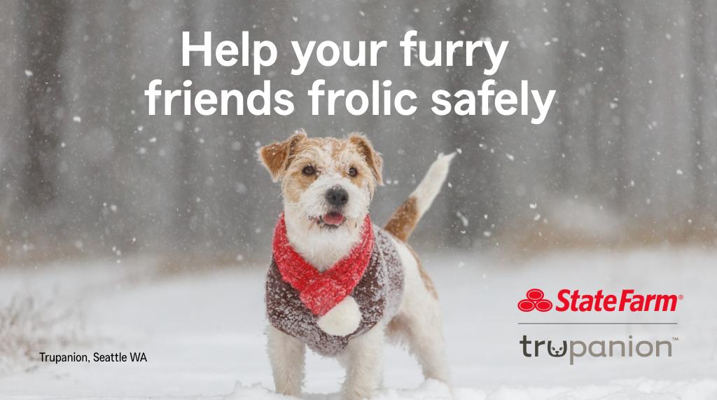 SolisFarm's tweet image. Before you brave the cold with your best friend, check out these winter safety tips to help keep your pets happy and healthy all season long. To learn how Trupanion can help keep your pet protected year round, contact your State Farm agent.

st8.fm/4j6s5mC