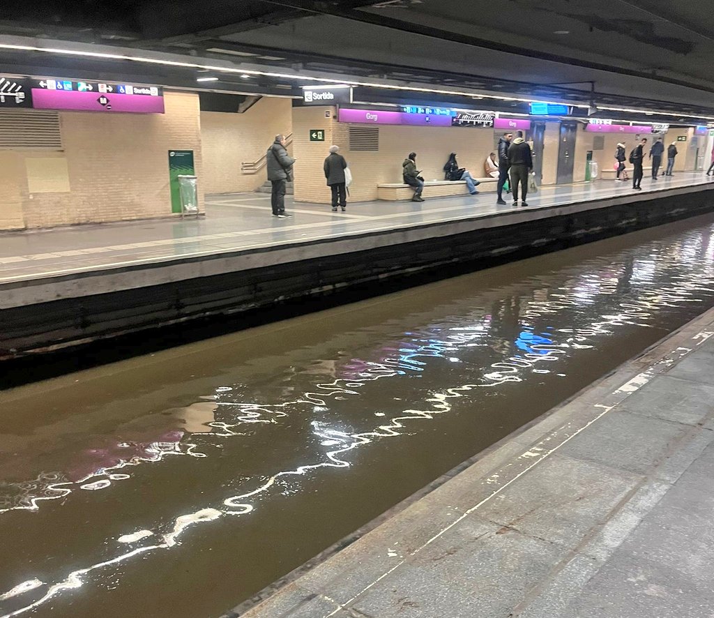 Merda m'he deixat la finestra oberta