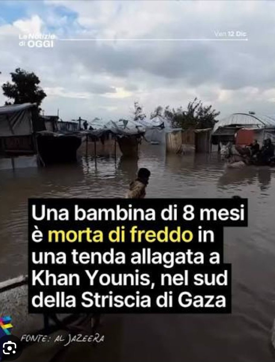 daniela albano tweet media