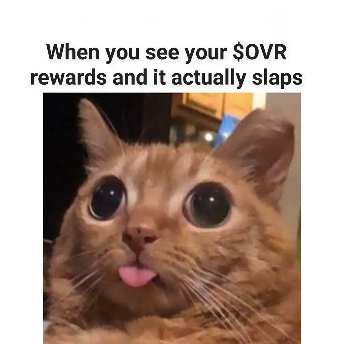 CharlesSol77463's tweet image. The most exciting part of being early in @OVRtheReality, isn't just watching innovation, it's taking part in it.

With its #Map2Earn model, you scan locations with your smartphone &amp;amp; get rewarded with $OVR as you help build a detailed 3D map powering AR, AI &amp;amp; robotics.