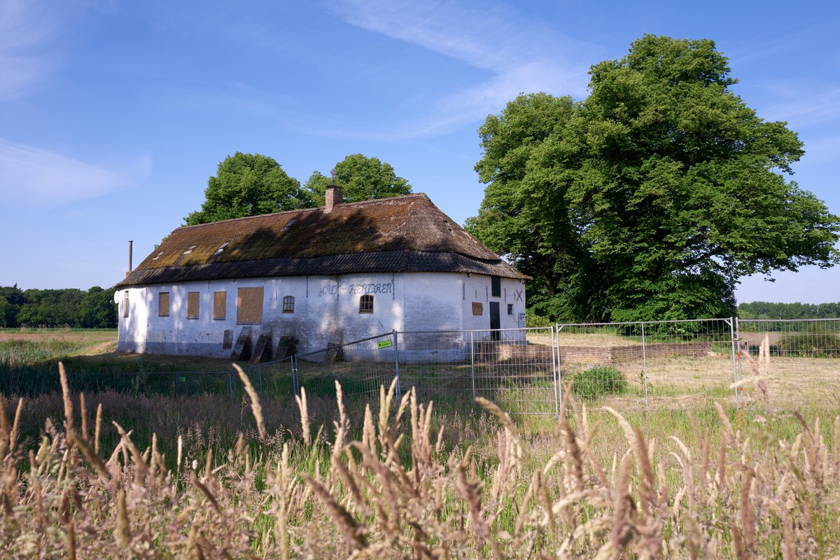 Het Groene Woud tweet media