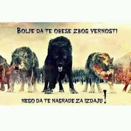 spasa1rs's tweet photo. @avucic то што си издао Косово и Метохију тек те чека ЛАЗАРЕВА КЛЕТВА а то што са Српским  оружјем НАЦИСТИЧКА Украина убија НАШУ БРАЋУ РУСЕ И НАШЕ РОЂАКЕ СРБЕ ТЕК ЋЕ ПОЧЕТИ ЖУРКА ! Знаш и сам да Руси никоме неће остати дужни !Плашим се да Срби који ратују  тек ће https://t.co/X2cAtgsOAe