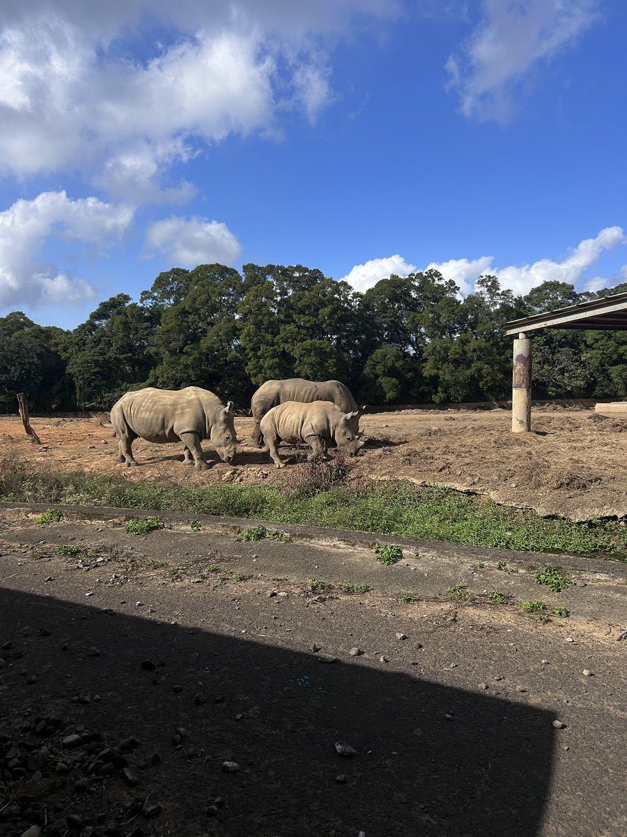 露娜醬油 tweet media