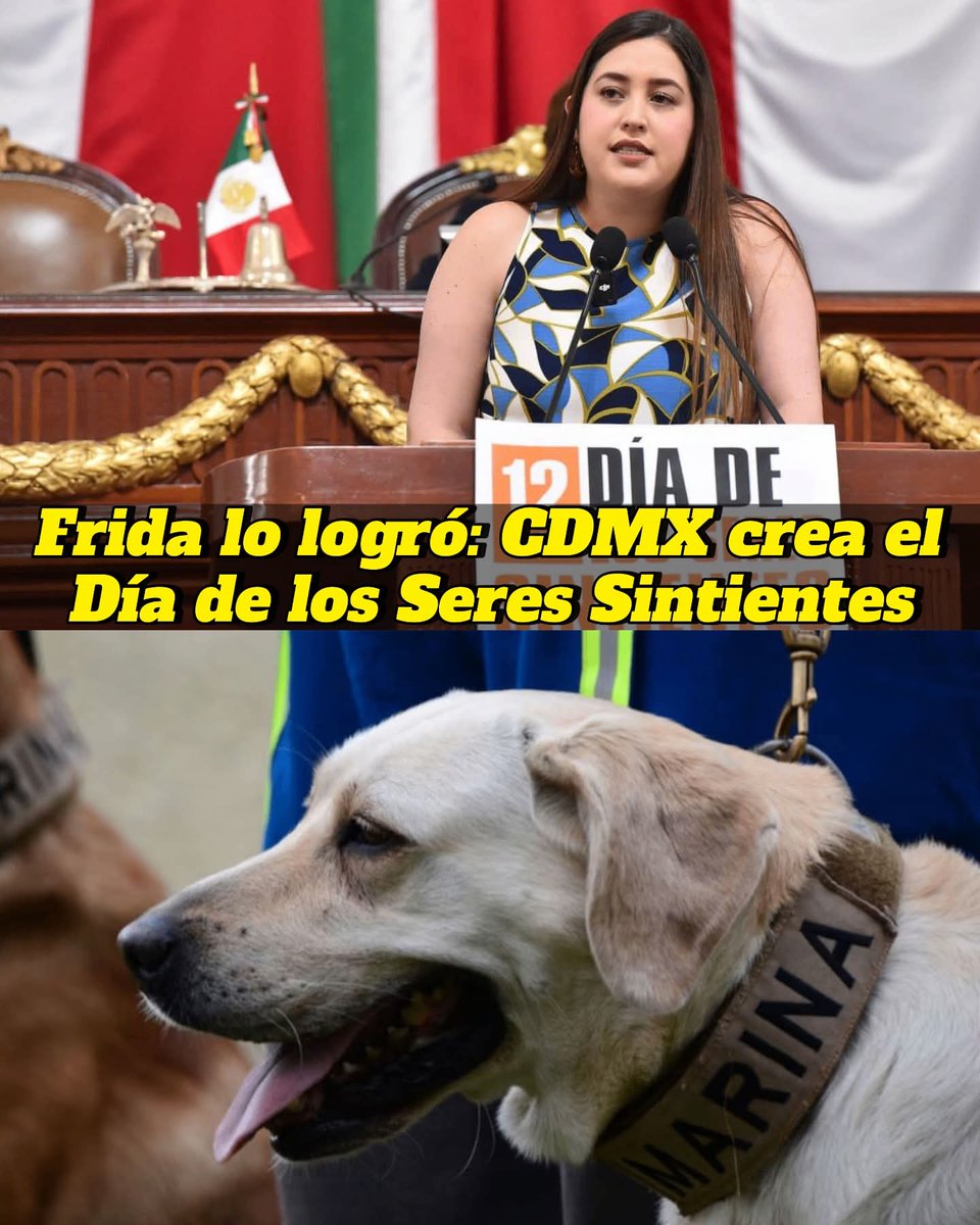 Un paso histórico....
Pero una fecha mas 🤷‍♀️🤷‍♀️🤷‍♀️

Quisiera ver mas acciones y menos brazos caídos diría mi abuelo ....

En fin mientras nosotros seguimos poniendo fechas de celebración miles de animales mueren en las calles en las peores condiciones y en los refugios 🤷‍♀️🤷‍♀️🤷‍♀️ pasan