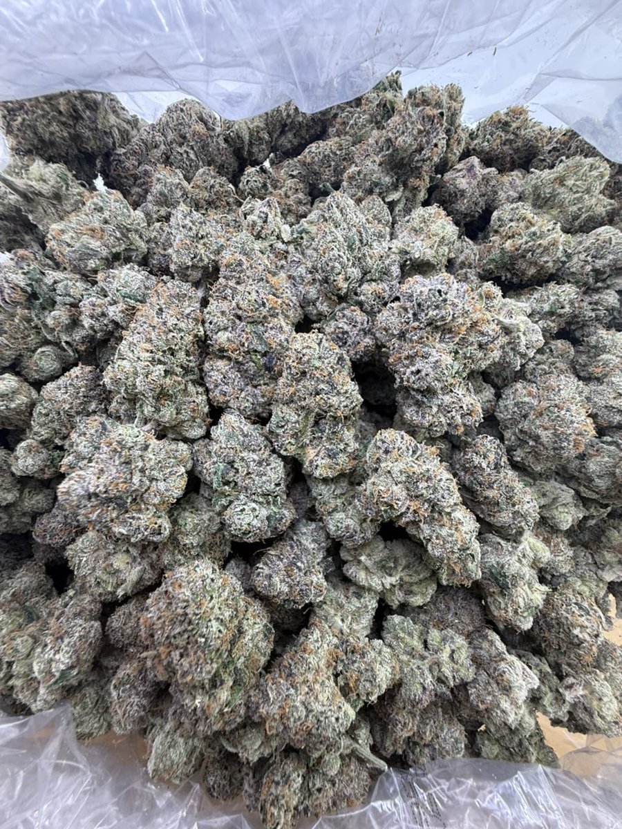 treptraphouse's tweet image. Tap in🌇🌇🌇
weed Shelby weed Apex weed Matthews weed Mooresville weed Monroe weed Sanford weed Goldsboro weed Dunn weed Lexington weed Reidsville weed Gastonia weed Concord weed High Point weed Rocky Mount weed Wilmington

Check link in bio