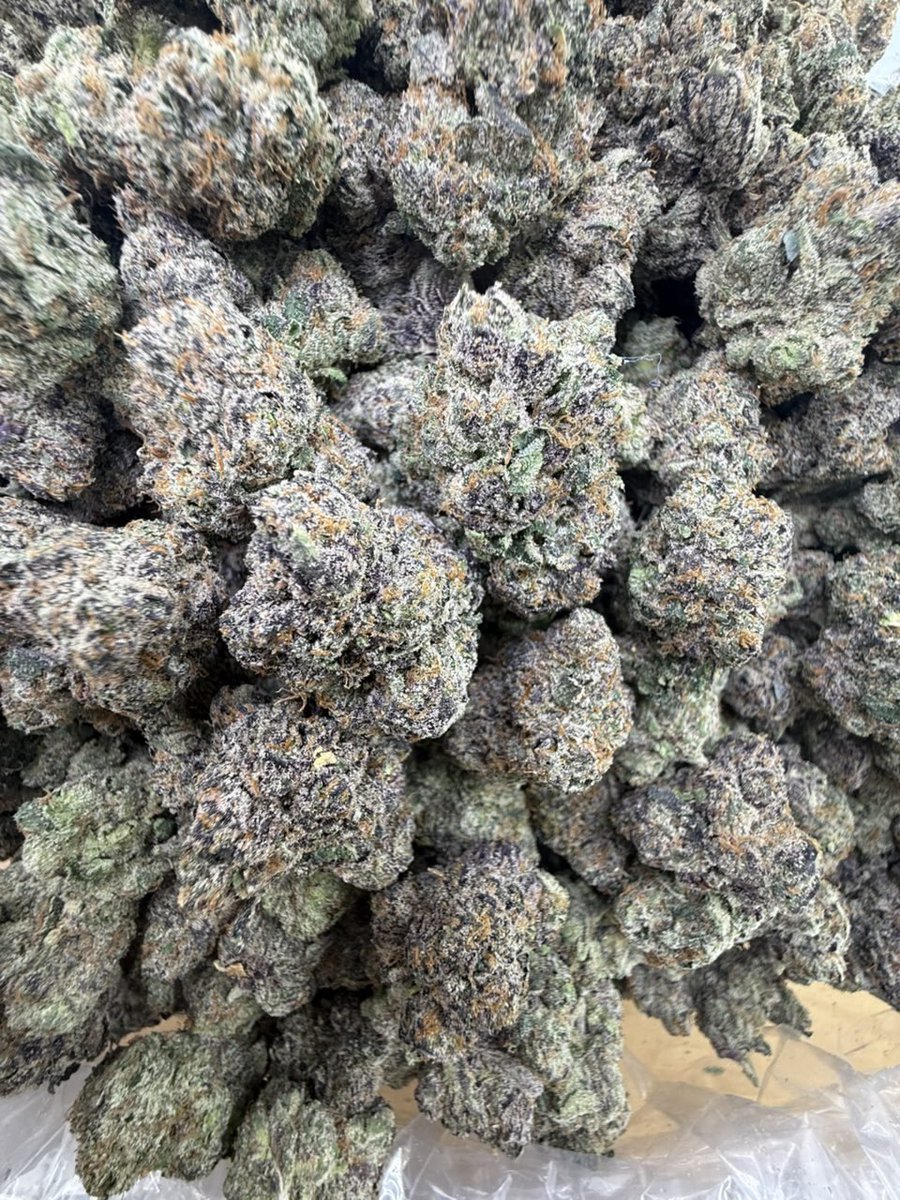 treptraphouse's tweet image. Tap in🌇🌇🌇
weed Shelby weed Apex weed Matthews weed Mooresville weed Monroe weed Sanford weed Goldsboro weed Dunn weed Lexington weed Reidsville weed Gastonia weed Concord weed High Point weed Rocky Mount weed Wilmington

Check link in bio